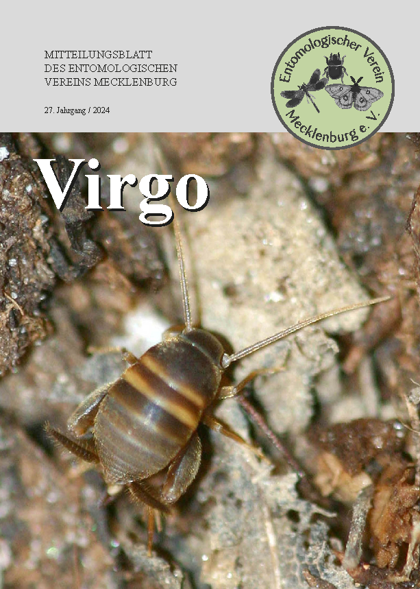 Icon of Virgo 27